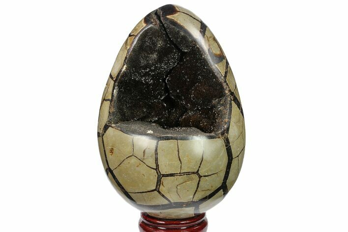Septarian Dragon Egg Geode - Black Crystals #134639